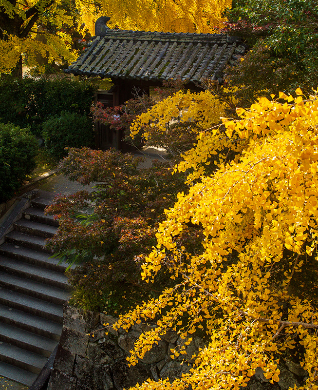 秋の松坂城跡
