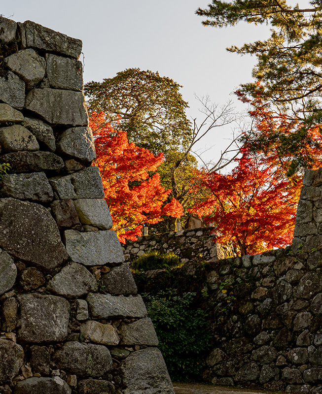 秋の松坂城跡